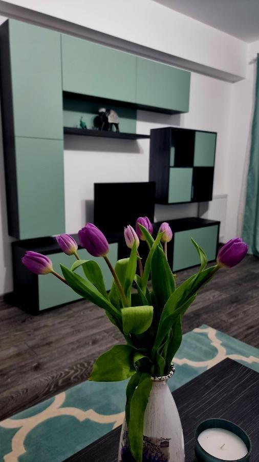 Swan Brasov Apartment Dış mekan fotoğraf
