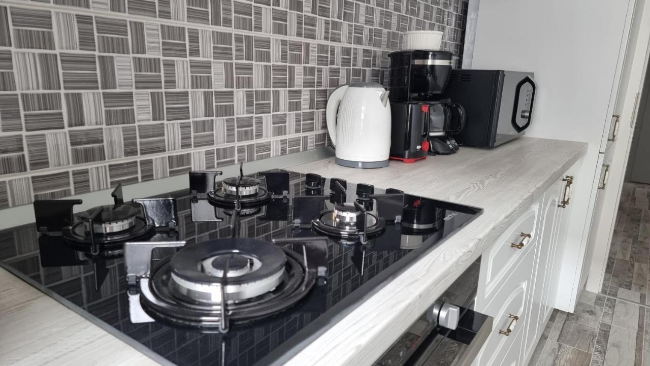 Swan Brasov Apartment Dış mekan fotoğraf