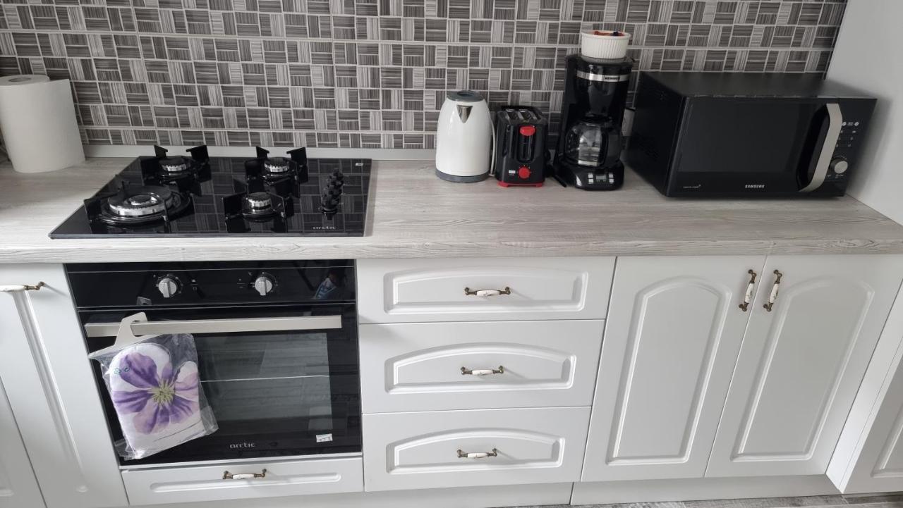 Swan Brasov Apartment Dış mekan fotoğraf